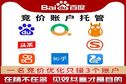 某企业通过SEO和SEM双管齐下实现业绩飞跃的案例